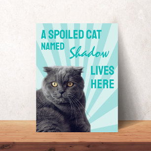 Ici vit un chat gâté Affiche personnalisée pour ch