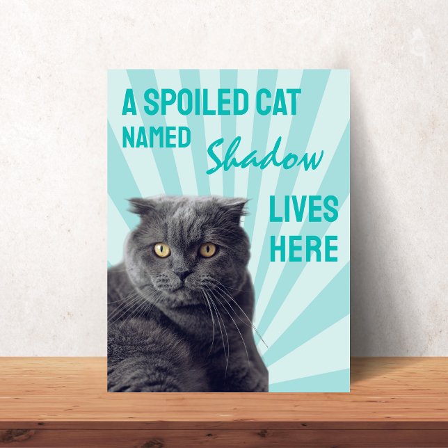Ici vit un chat gâté Affiche personnalisée pour ch (A Spoiled Cat Lives Here Custom Cat Poster)