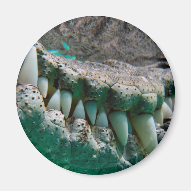 Icône Australe - Big Croc Terry 2 - Magnet (Devant)