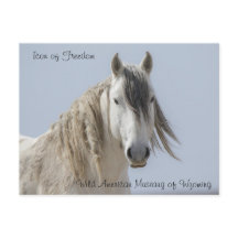 Icône de liberté - Carte postale