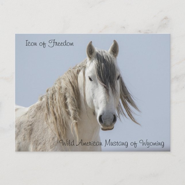 Icône de liberté - Carte postale (Devant)