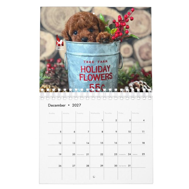 Idaho Jewels Poodles | Calendrier 2026 (Dec 2027)