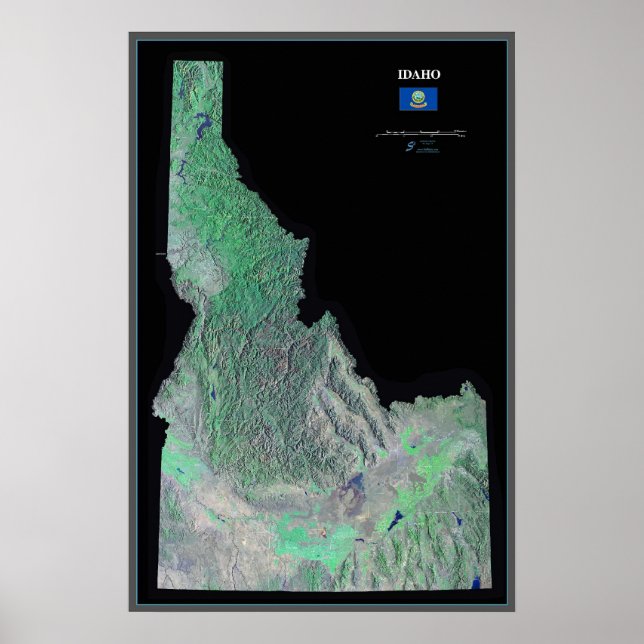 Idaho satellite poster (Devant)