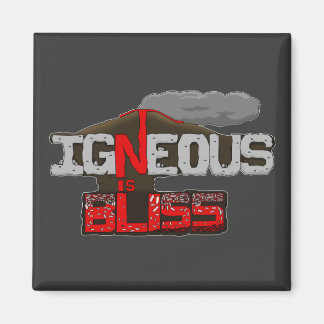 Igneous est Bliss Volcano Magnet