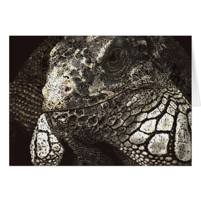 Iguana (Devant horizontal)