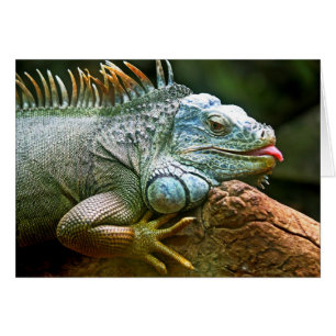 Iguana avec la langue Stick Out Blank Card