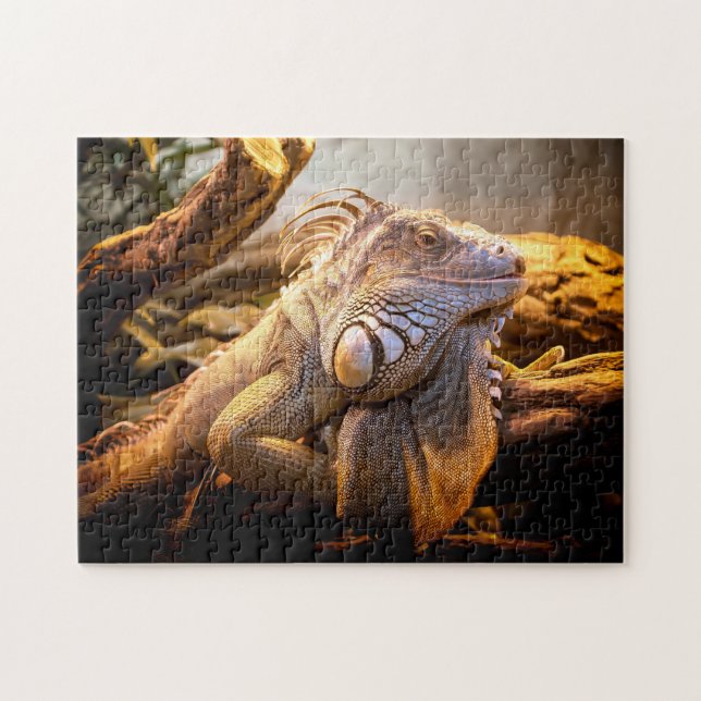 Iguana Head Close up, Jigsaw Puzzle (Horizontal)