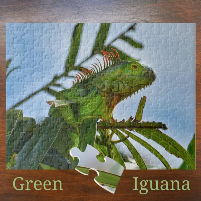 Iguane vert dans un palmier Photographie Puzzle (Créateur téléchargé)