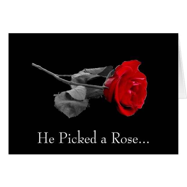 Il a sélectionné un rose… (Devant horizontal)
