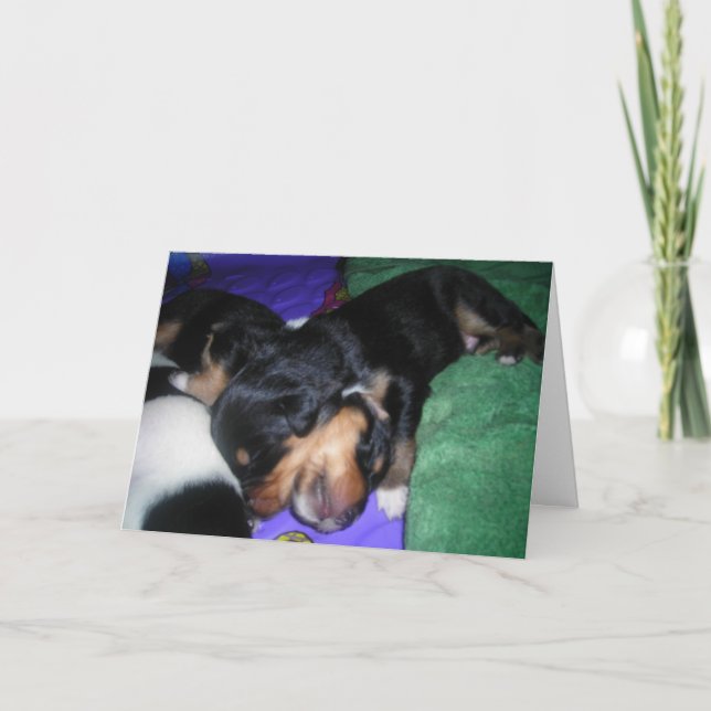 IL EST LOURD, IL EST MON FRÈRE. CARTE D'ANNIVERSAI (Devant)