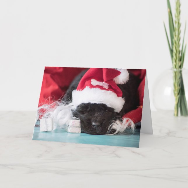 Il "nez : si vous avez été une carte coquine (Devant)