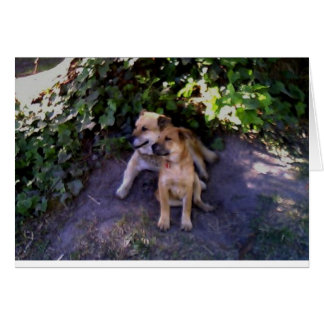 Il n'y a pas d'endroit où je préférerais être