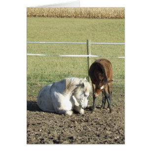 Il prend la carte de la patience