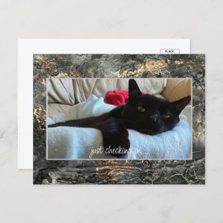 Il suffit d'enregistrer en noir carte postale