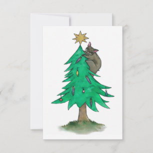 Il y a un Possum dans l'arbre de Noël