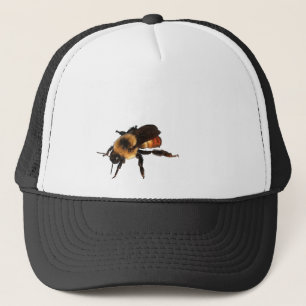 Il y a une abeille de miel sur votre casquette !