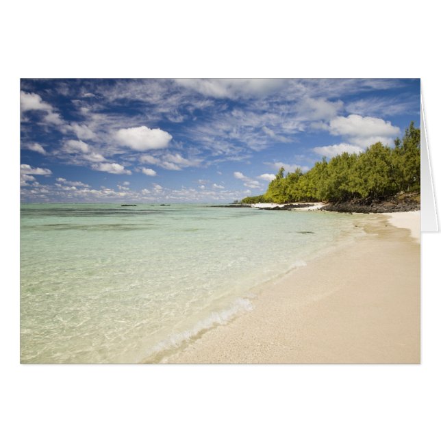 Ile Aux Cerf, excursion d'une journée la plus popu (Devant horizontal)