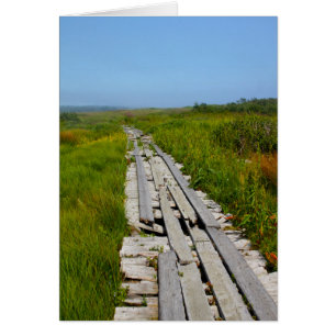 Île de bouton blanc, NOTA: