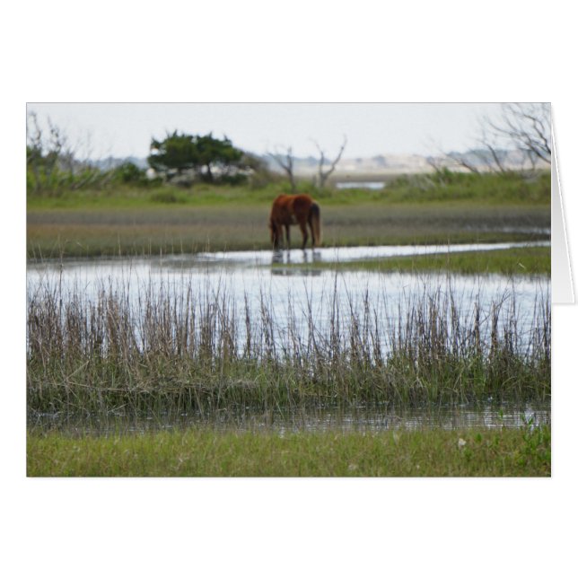 Île de carotte (Devant horizontal)