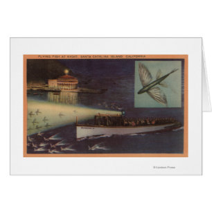 Île de Père Noël Catalina, casino de CA, poisson