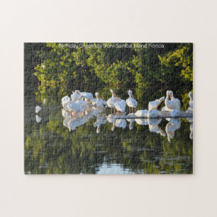 Île de Sanibel Floride. Puzzle