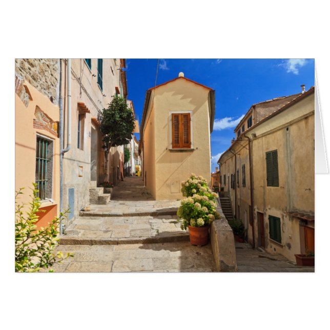 Île d'Elbe - vue sur Marciana (Devant horizontal)