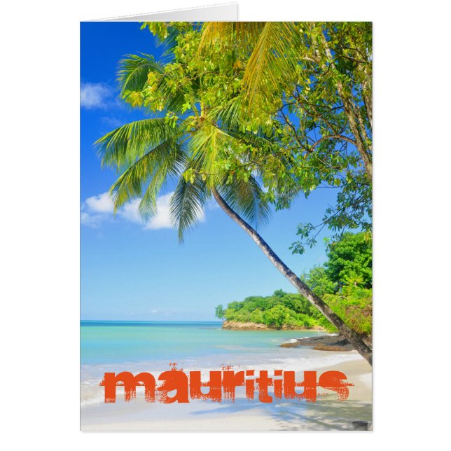 Île tropicale à Maurice (Devant)