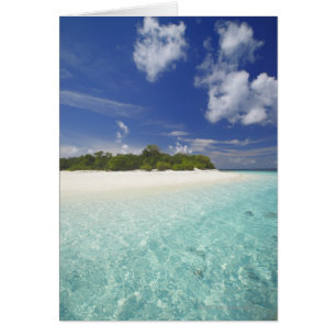 Île tropicale entourée par la lagune, Maldives,