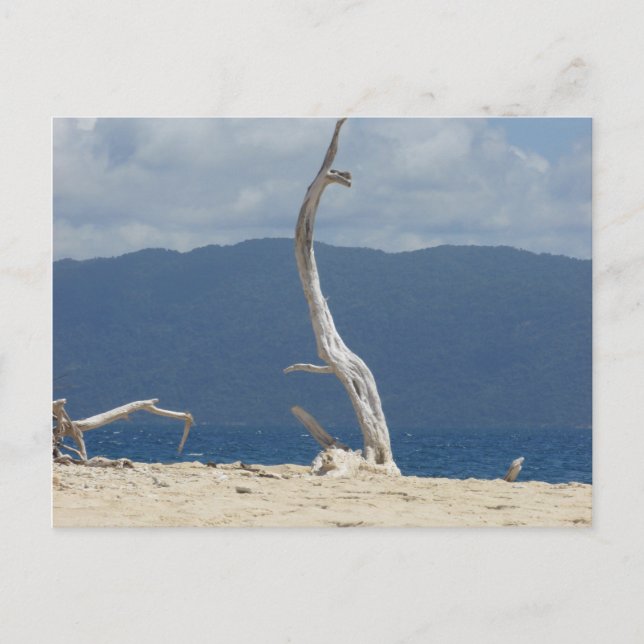 Îles Frankland - Australie Carte postale (Devant)