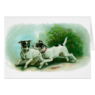 Illustration antique de Fox Terrier
