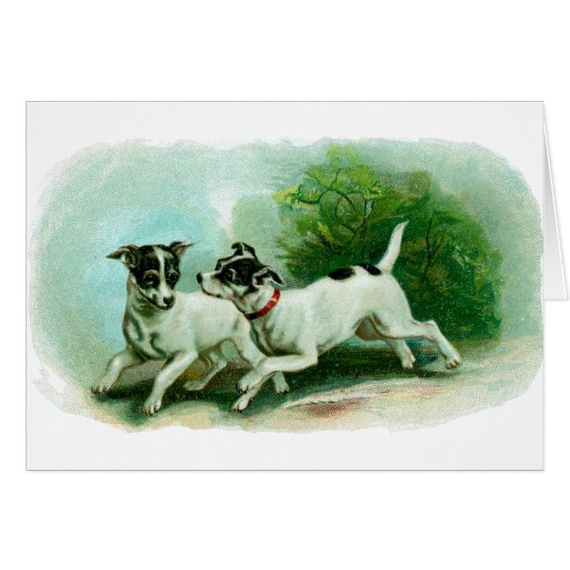 Illustration antique de Fox Terrier (Devant horizontal)