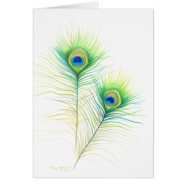 Illustration aquarelle de plumes de paon (Devant)