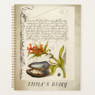 Illustration botanique du texte de calligraphie an