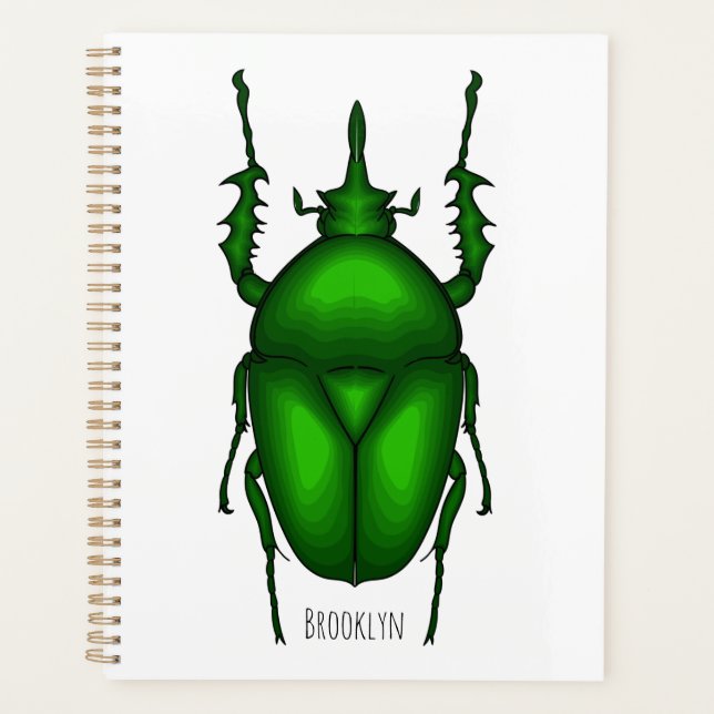 Illustration de bug Mecynorhina torquata (Devant)