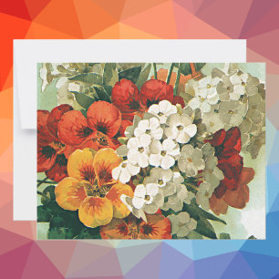 Illustration de couverture du catalogue de graines