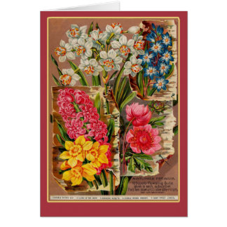 Illustration de cru de paquet de graine de fleur