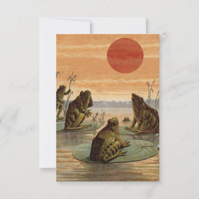 Illustration de grenouilles Lily Pads Moon (Devant)