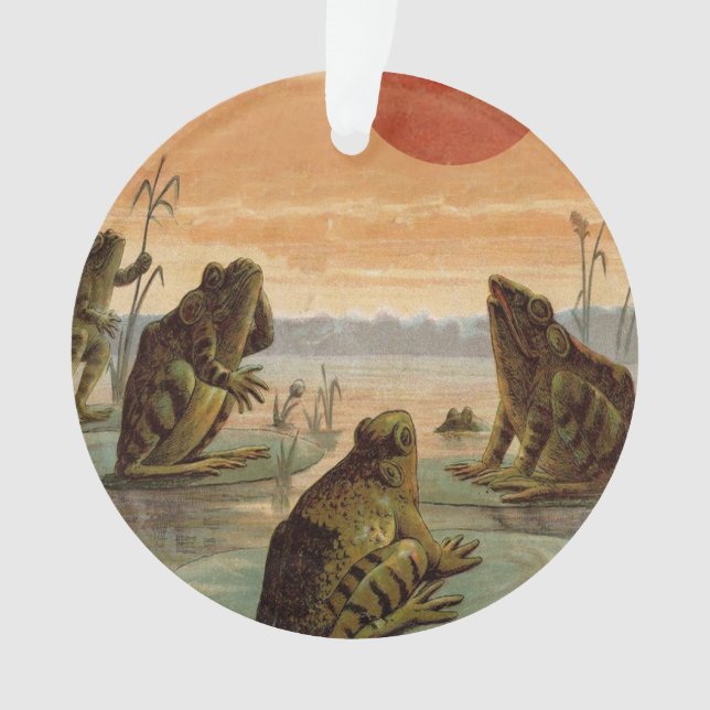 Illustration de grenouilles sur nénuphars sous la  (devant)