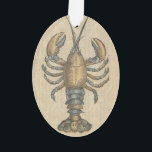 Illustration de homard, fruits de mer du Maine<br><div class="desc">Cette image de homard est une illustration de homard antique tirée d'un vieux livre. Il s'agit d'une merveilleuse oeuvre d'art à l'ancienne pour le homard qui fait une riche déclaration de fruits de mer. Le homard est basé sur une illustration datant des années 1800.</div>
