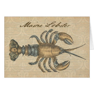 Illustration de homard vintage : damas côtier