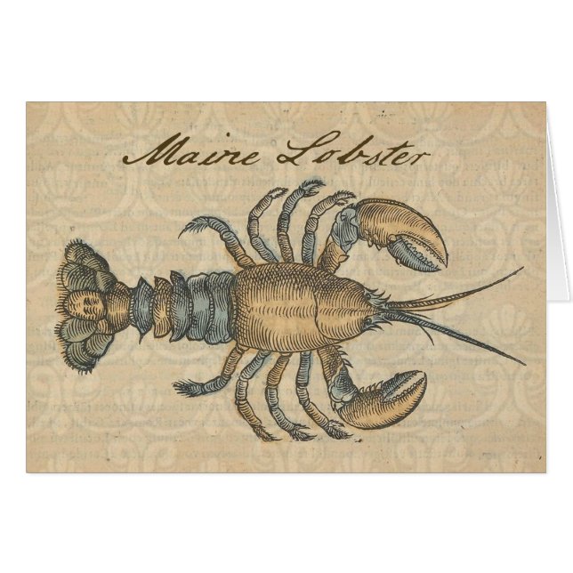 Illustration de homard vintage : damas côtier  (Devant horizontal)