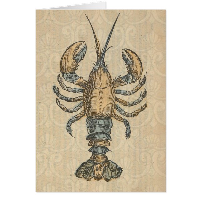 Illustration de homard vintage : damas côtier  (Devant)