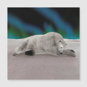 Illustration de la nature arctique de l'ours polai