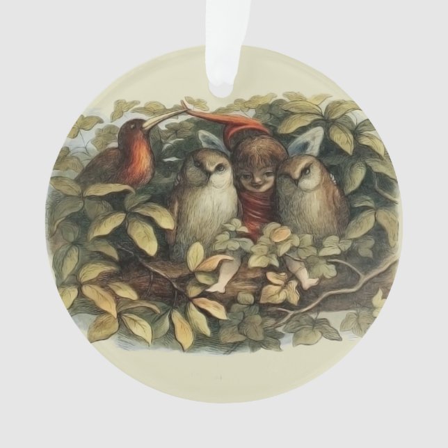 Illustration de la nature des hiboux et des fées d (devant)