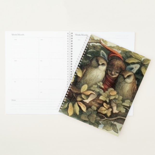 Illustration de la nature des hiboux et des fées e (Devant avec enveloppe)