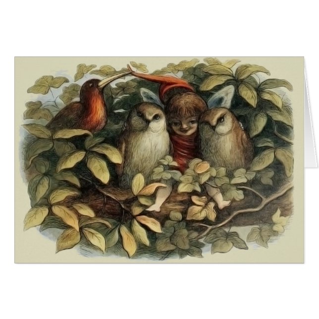 Illustration de la nature des hiboux et des fées e (Devant horizontal)