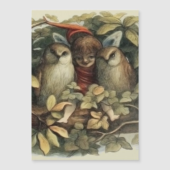 Illustration de la nature des hiboux et des fées e (Devant)