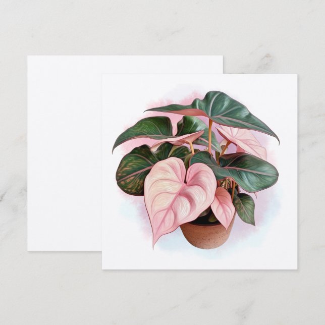 Illustration de la princesse rose Philodendron (Devant / Derrière)