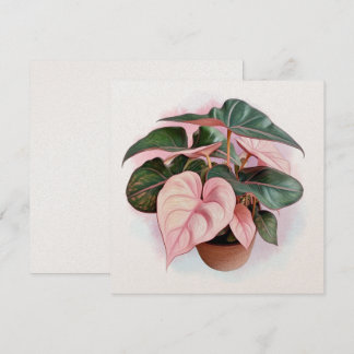 Illustration de la princesse rose Philodendron