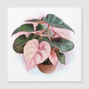 Illustration de la princesse rose Philodendron